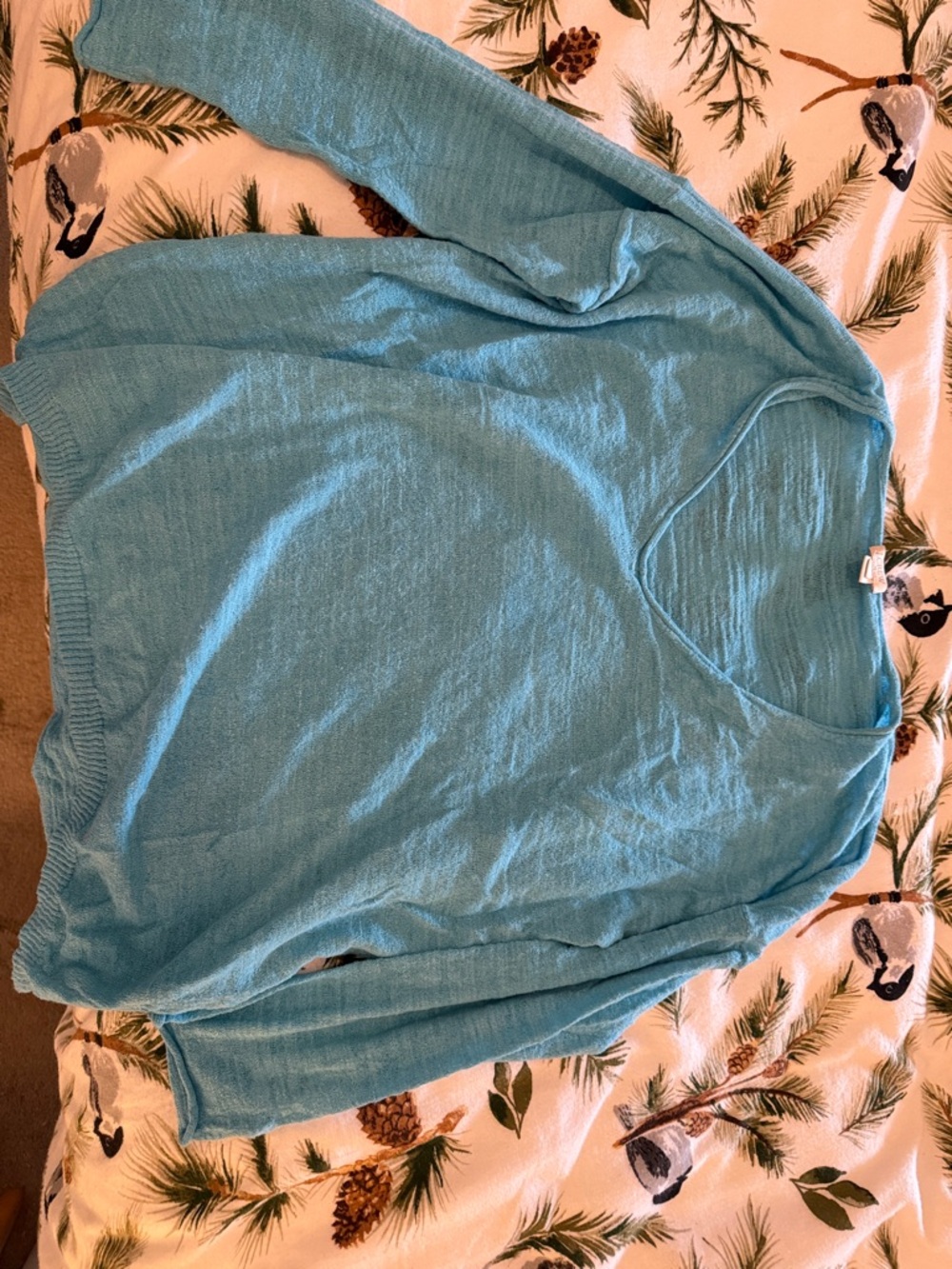 J. Crew Turquoise V‑Neck Lightweight Sweater